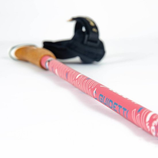 Guidetti - BÂTONS DE MARCHE NORDIQUE VENT DES FJORDS UT70 STEPPE