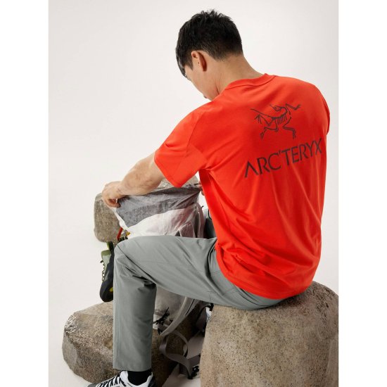 ARCTERYX - T-SHIRT KRAGG SL COTON LOGO BIRD WORD HOMME