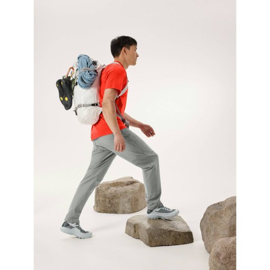 ARCTERYX - T-SHIRT KRAGG SL COTON LOGO BIRD WORD HOMME