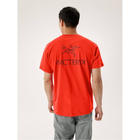 ARCTERYX - T-SHIRT KRAGG SL COTON LOGO BIRD WORD HOMME
