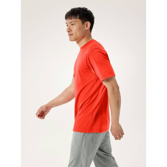 ARCTERYX - T-SHIRT KRAGG SL COTON LOGO BIRD WORD HOMME
