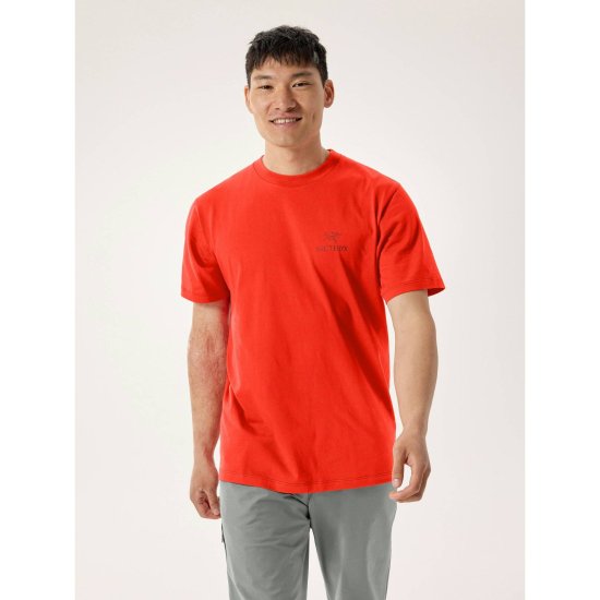 ARCTERYX - T-SHIRT KRAGG SL COTON LOGO BIRD WORD HOMME