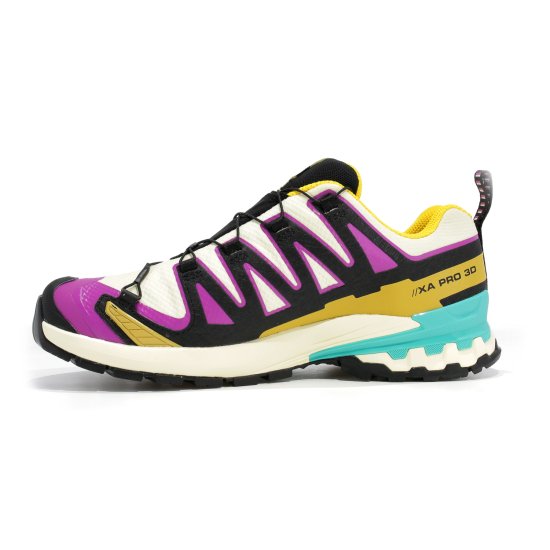 SALOMON - XA PRO 3D V9 GTX HOMME