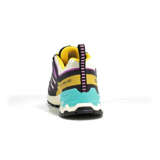 SALOMON - XA PRO 3D V9 GTX HOMME