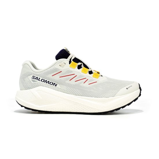 SALOMON - Aero Blaze 3 Grvl Gore-Tex femme