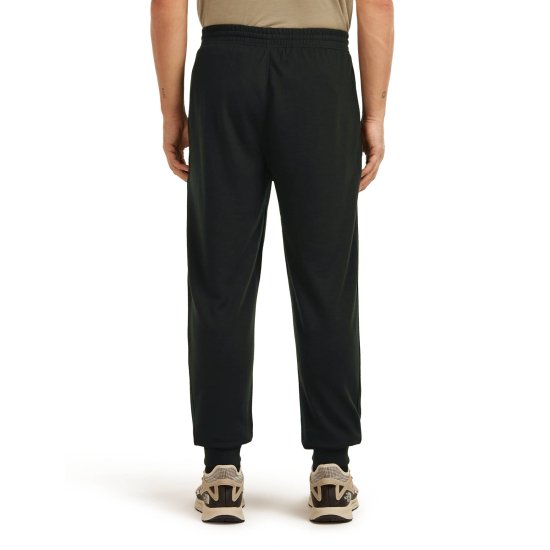 ICEBREAKER - Pantalone 200 Shifter uomo