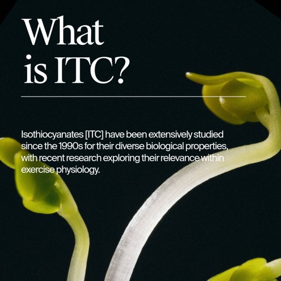 NOMIO - Pack Nomio x4