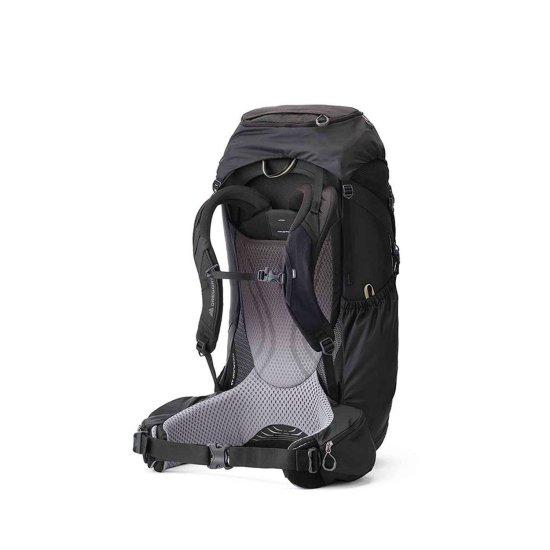 GREGORY - Sac à dos BALTORO 65 L