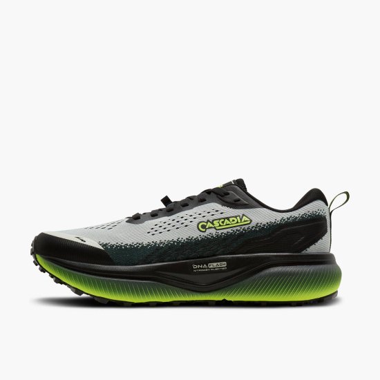 BROOKS - Cascadia 20 uomo