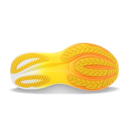 SAUCONY - Triumph 24 homme