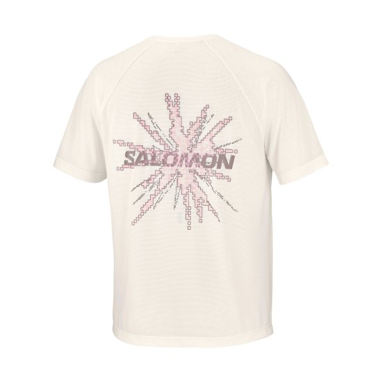 SALOMON - T-shirt Shakeout Core Graphic uomo