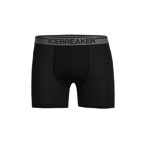 ICEBREAKER - BOXER ANATOMICA HOMME