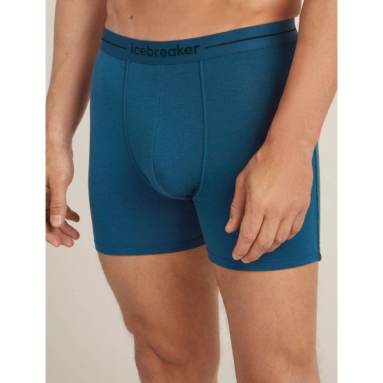 ICEBREAKER - BOXER ANATOMICA HOMME
