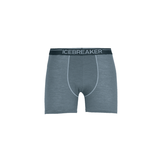 ICEBREAKER - BOXER ANATOMICA HOMME