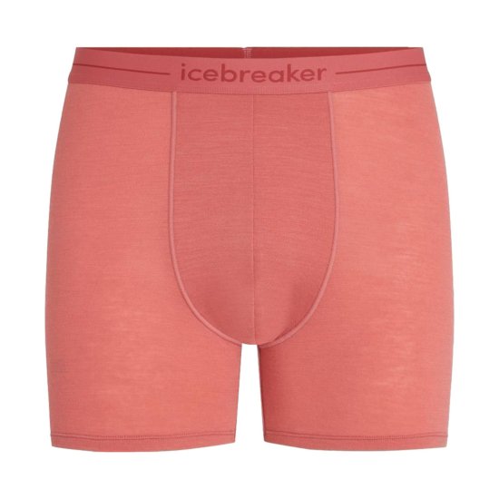 ICEBREAKER - BOXER ANATOMICA HOMME