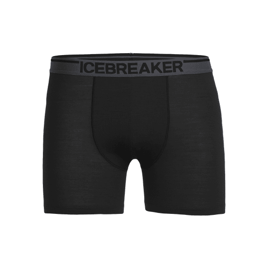 ICEBREAKER - BOXER ANATOMICA HOMME