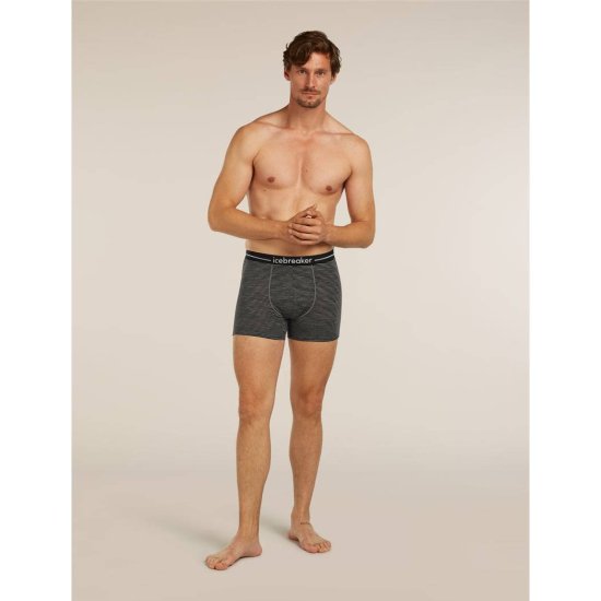 ICEBREAKER - BOXER ANATOMICA HOMME