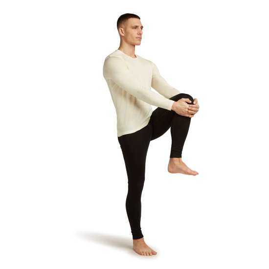 ICEBREAKER - SOUS COUCHE MERINO 200 OASIS COL ROND HOMME