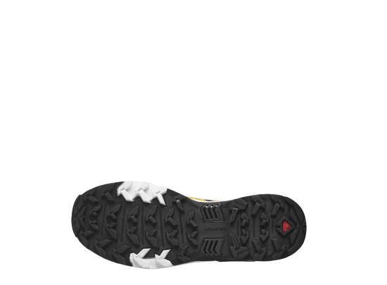 SALOMON - X ULTRA PRO GTX HOMME