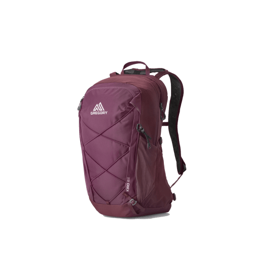 GREGORY - SAC A DOS KIRO 22 HOMME