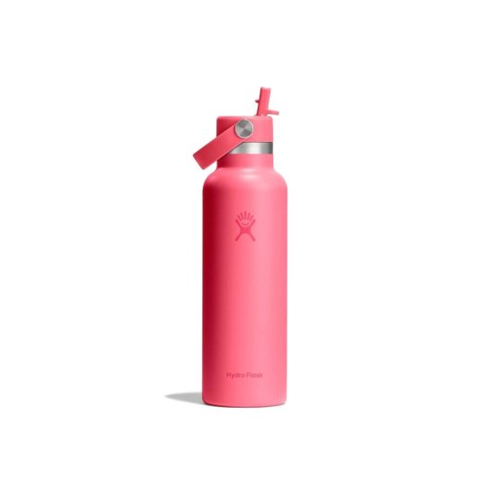 HYDRO-FLASK - Gourde 21 oz (621 ml) Standard Flex Cap