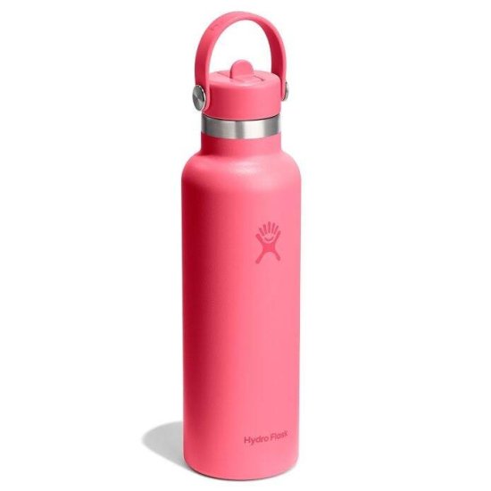 HYDRO-FLASK - Gourde 21 oz (621 ml) Standard Flex Cap