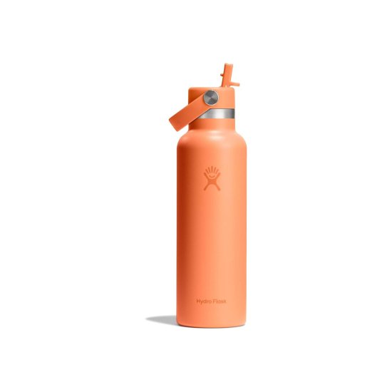 HYDRO-FLASK - Gourde 21 oz (621 ml) Standard Flex Cap