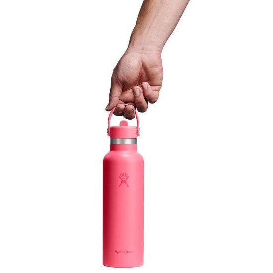 HYDRO-FLASK - Gourde 21 oz (621 ml) Standard Flex Cap