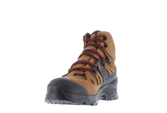 SALOMON - QUEST 4 GTX HOMME