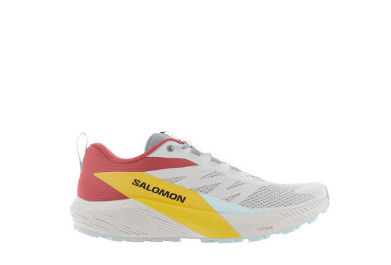 SALOMON - SENSE RIDE 5 HOMME