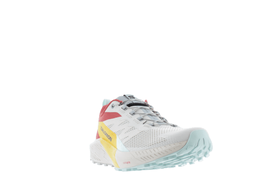 SALOMON - SENSE RIDE 5 HOMME