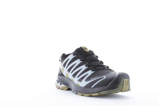 SALOMON - XA PRO 3D V8 GTX FEMME