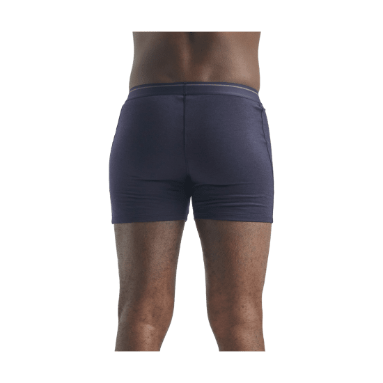 ICEBREAKER - BOXER ANATOMICA HOMME