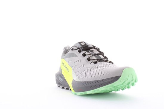 SALOMON - SENSE RIDE 5 HOMME GRISES