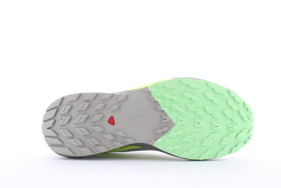 SALOMON - SENSE RIDE 5 HOMME GRISES