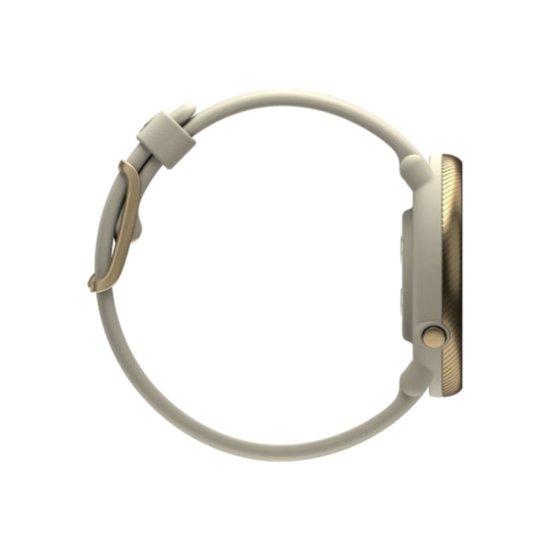 POLAR - IGNITE 2