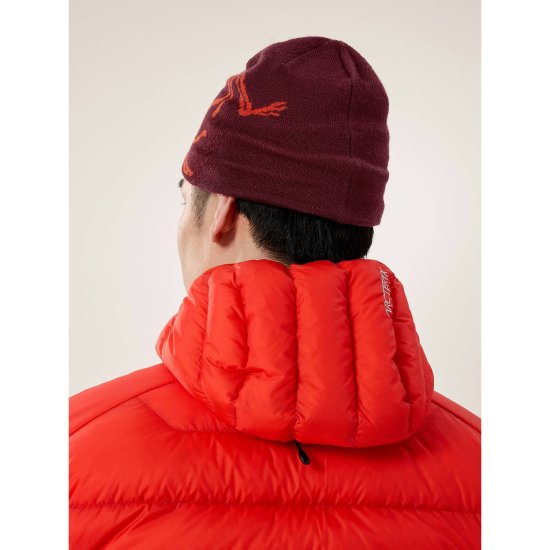 ARCTERYX - BONNET BIRD