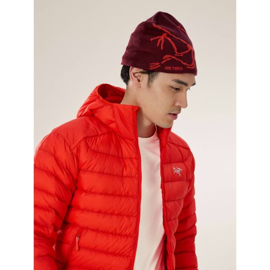 ARCTERYX - BONNET BIRD