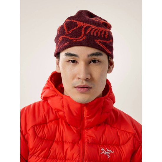ARCTERYX - BONNET BIRD