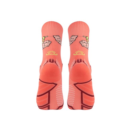 BV SPORT - Chaussettes Trail Collector Nutrition