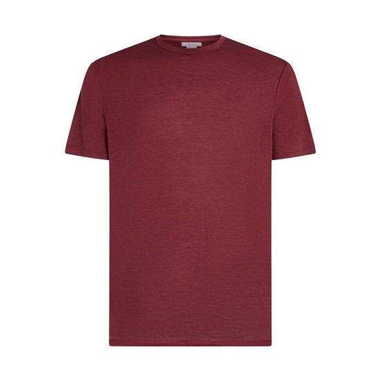 ICEBREAKER - T-SHIRT MERINOS 150 MANCHES COURTES TECH LITE III HOMME
