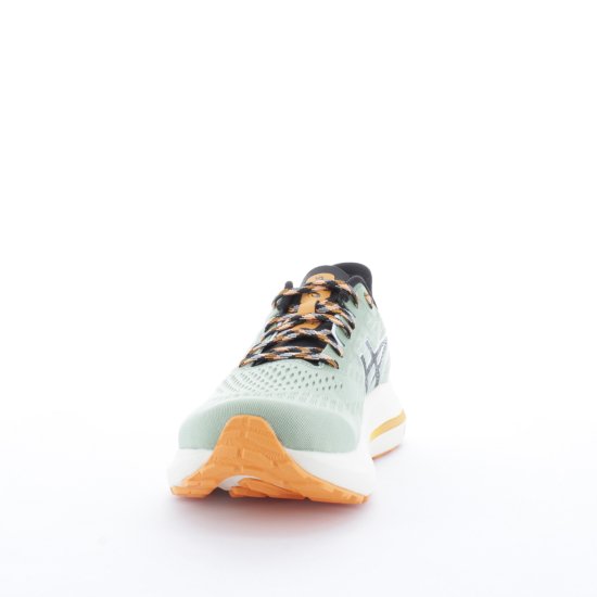 ASICS - GT-2000 12 TR UOMO