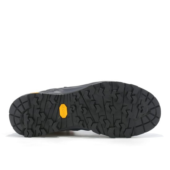 SALEWA - Alp Trainer 2 Mid GTX homme