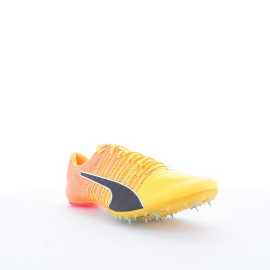 PUMA - Evospeed Future 6 homme