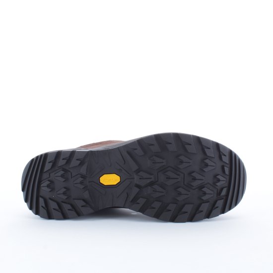 LOWA - RENEGADE EVO GTX LOW HOMME