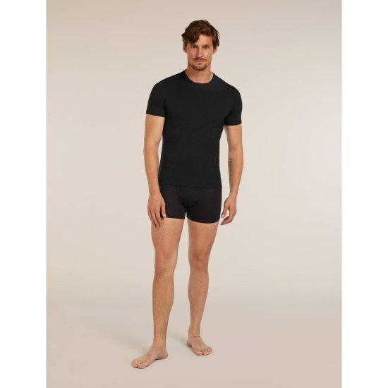 ICEBREAKER - T-shirt Anatomica 150 homme