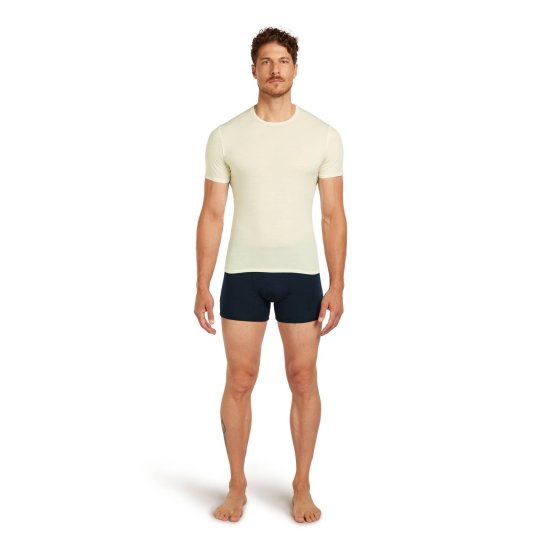 ICEBREAKER - T-shirt Anatomica 150 homme