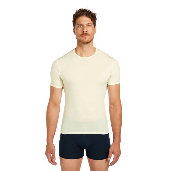 ICEBREAKER - T-shirt Anatomica 150 homme