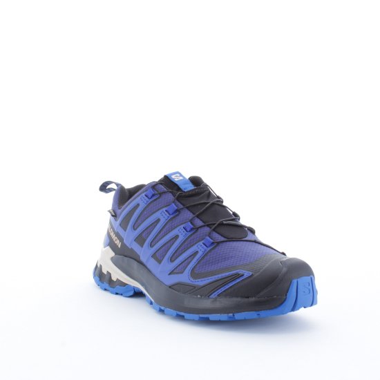 SALOMON - XA PRO 3D V9 GTX HOMME BLEUES