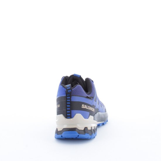 SALOMON - XA PRO 3D V9 GTX HOMME BLEUES